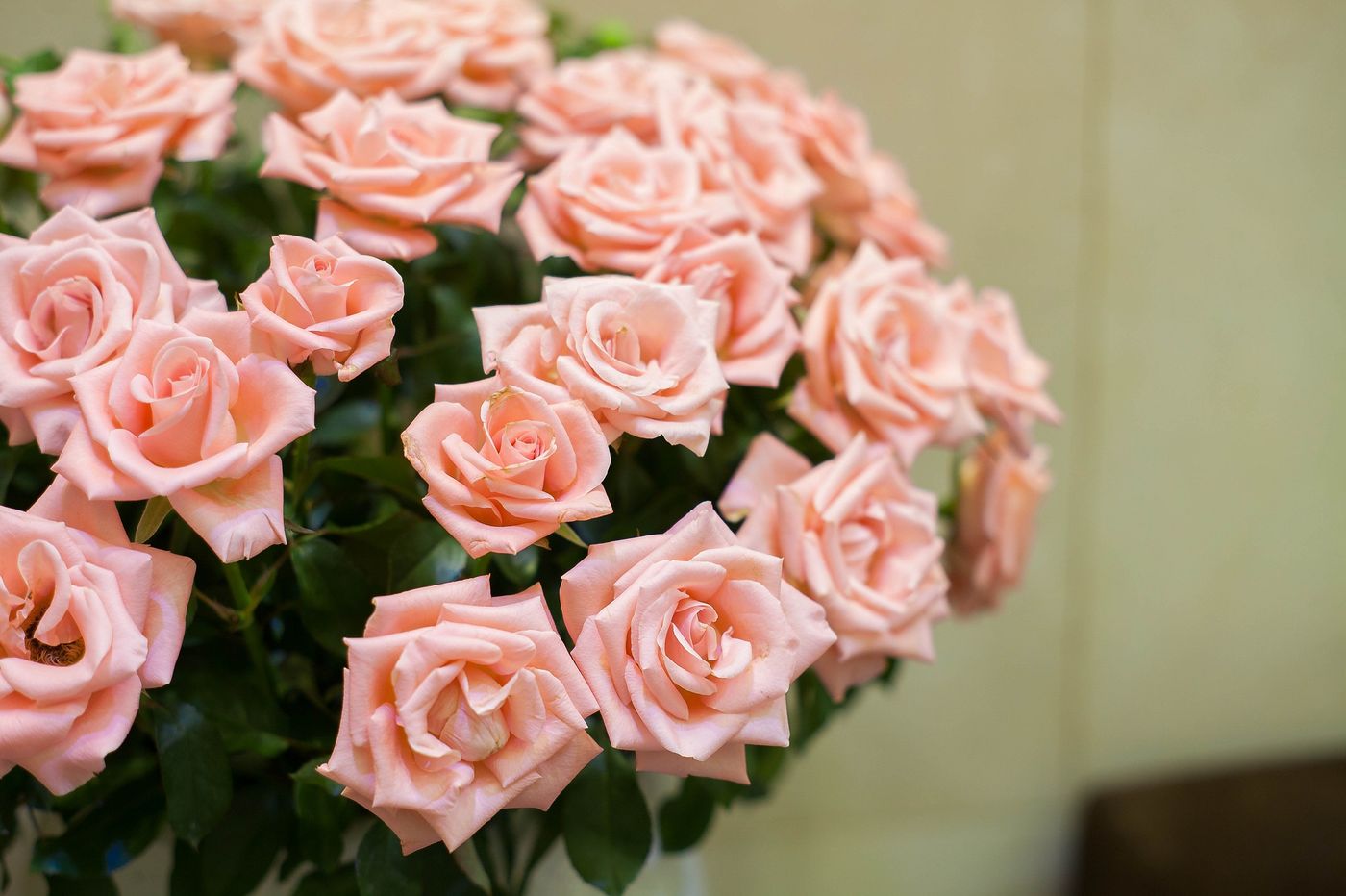 Authentic Hanoi Boutique Hotel-Vietnam-HANOI-Lobby-2