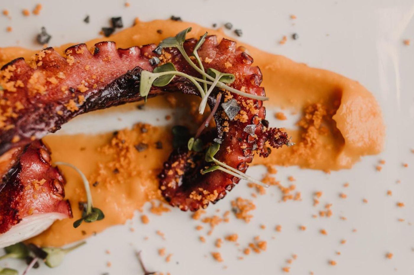 Kramer - Spain - VALENCIA - Restaurant - 7