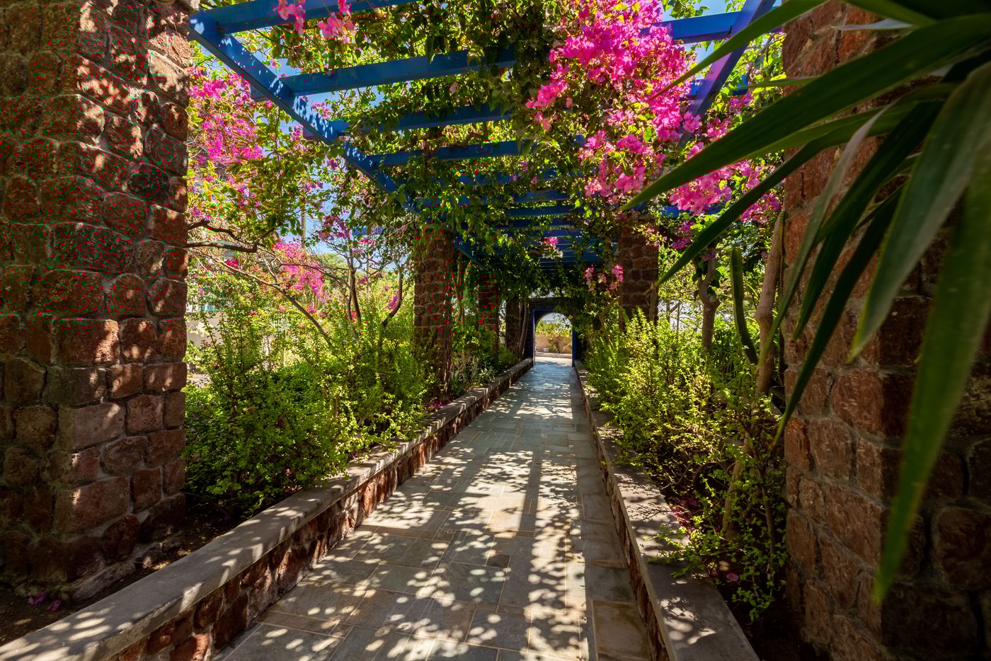 Andreas-Aparthotel-Terrace-9