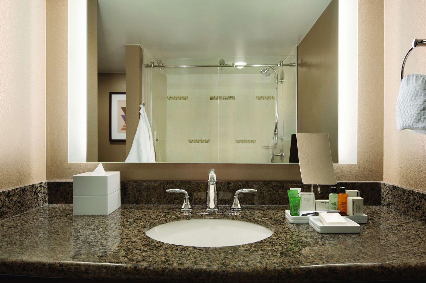 Hilton Arlington - United States - ARLINGTON - Room - 2