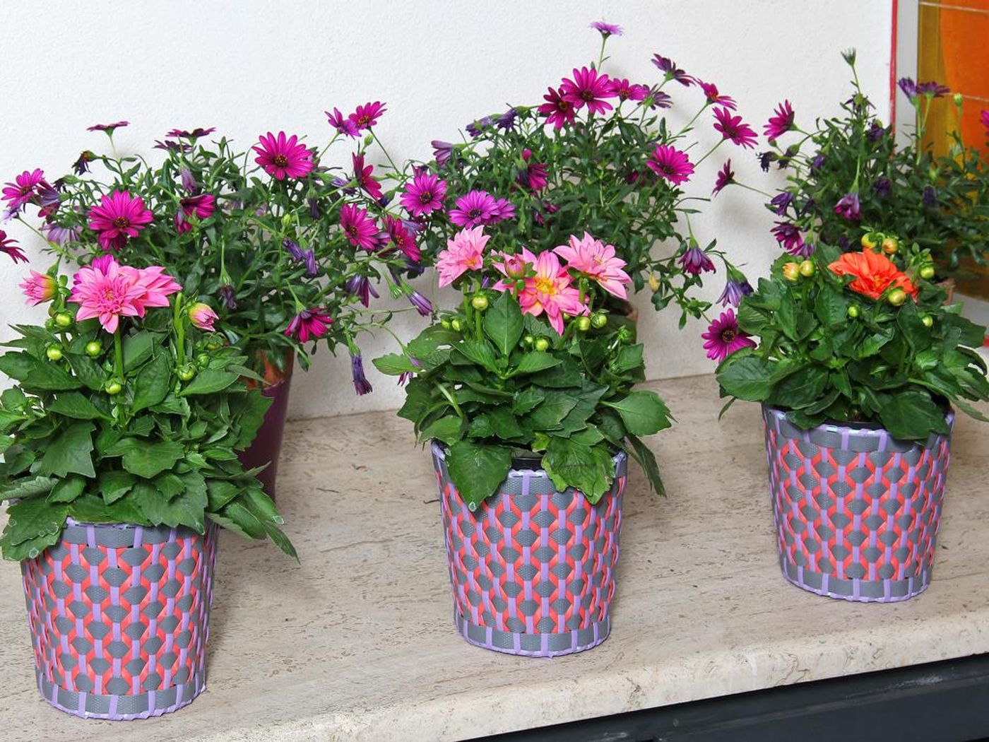 Hotel-Arcangelo-Lobby-9