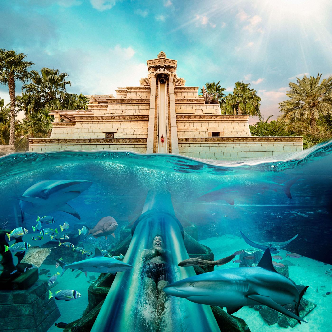 Atlantis--The-Palm-Sports-and-Entertainment-10