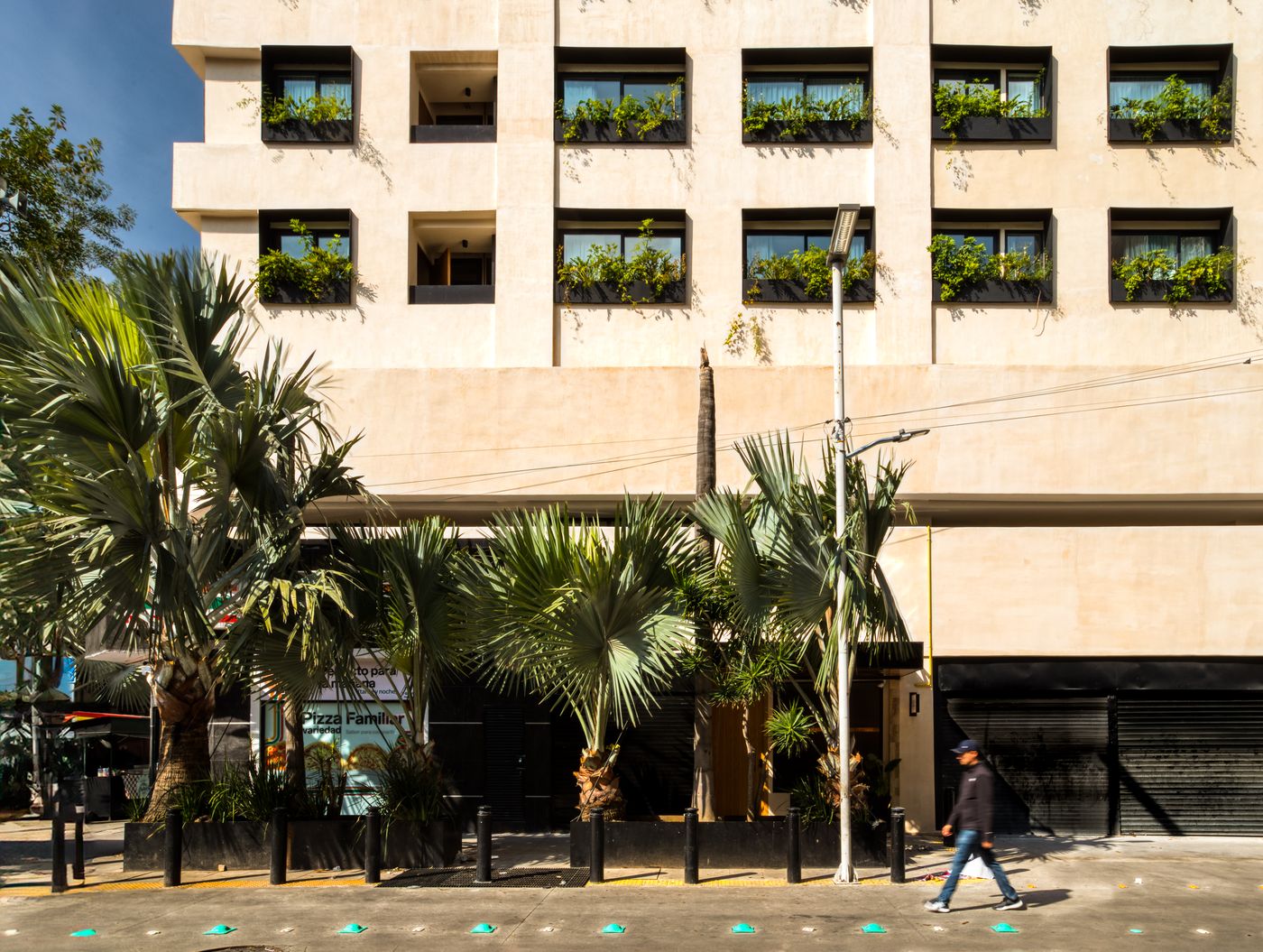 Caliza Roma-Mexico-Ciudad de México-General view-3