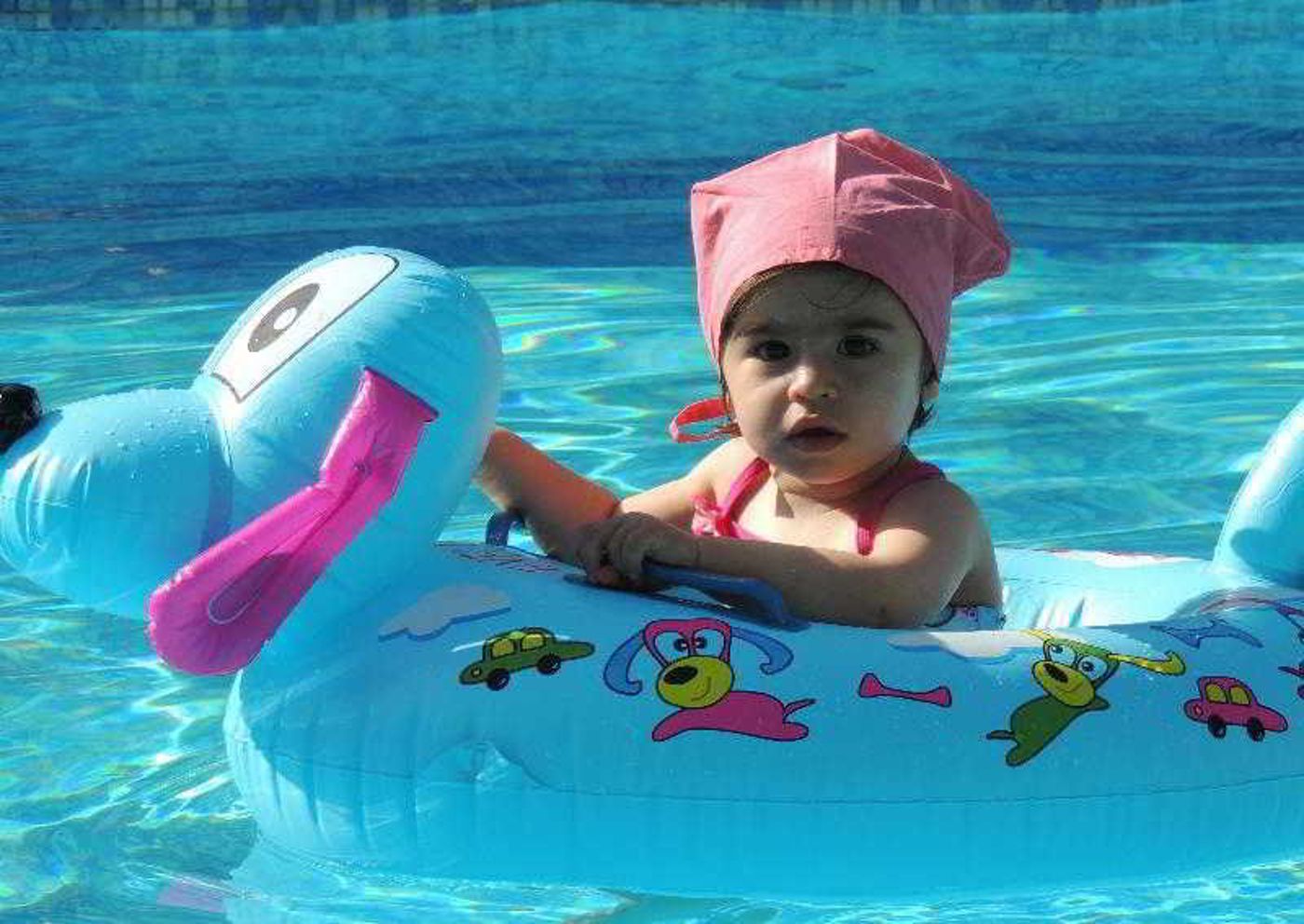 Chems-General-view-18