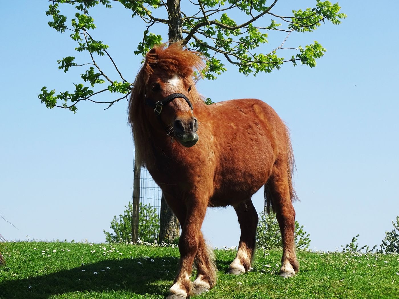 Campanile-Val-de-France-Ex-Kyriad-Disneyland-Sports-and-Entertainment-54