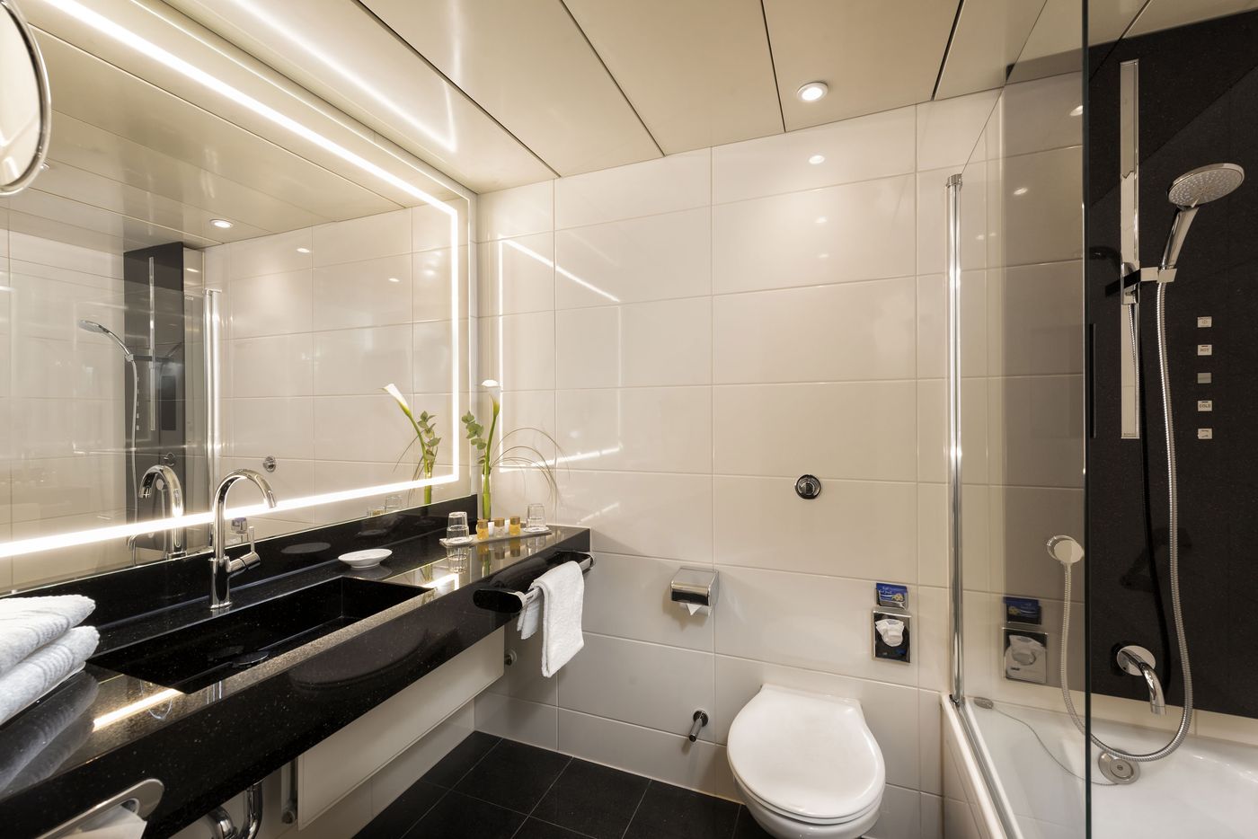 Maritim-Hotel-Bonn-Room-44