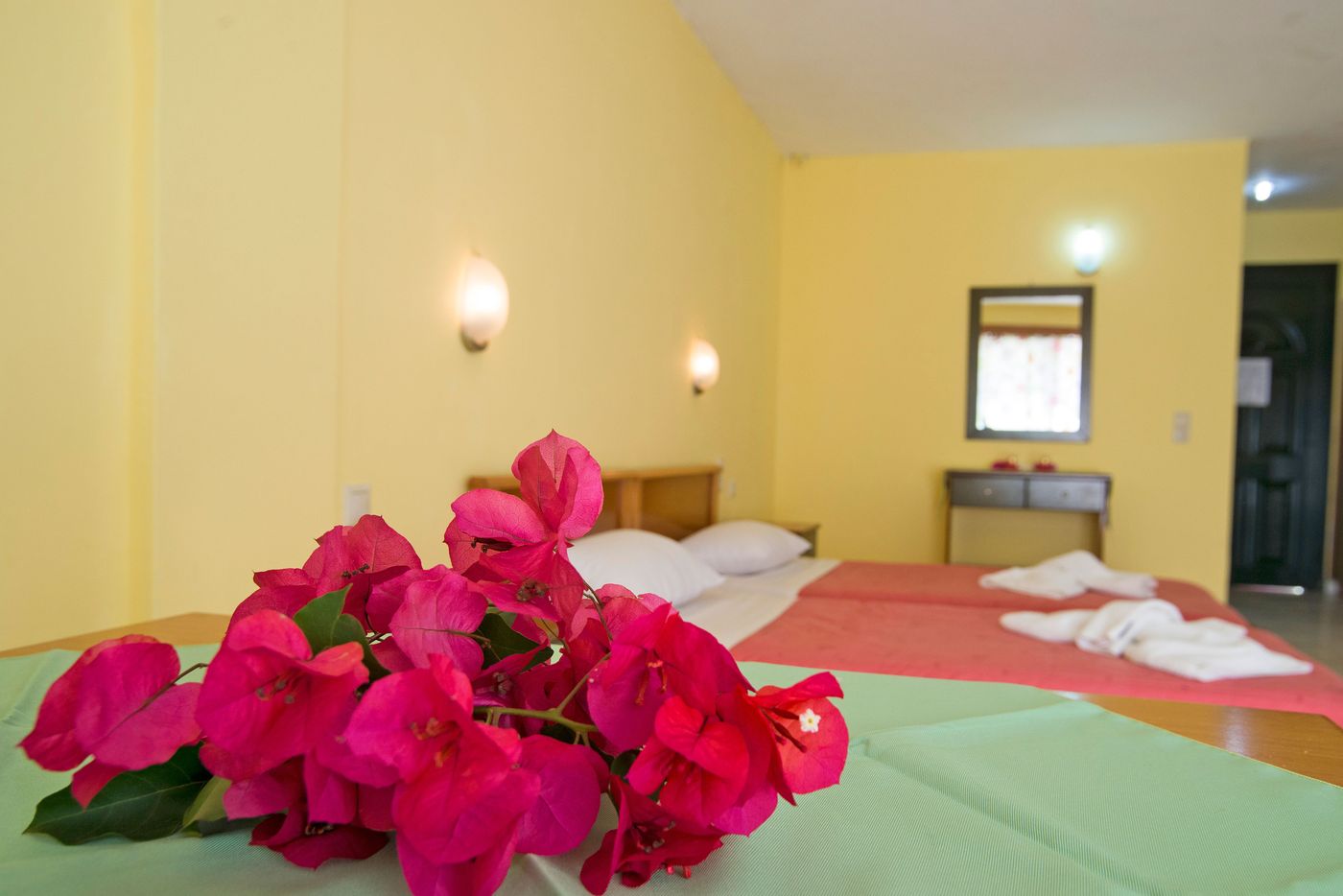 Magnolia-Aparthotel-Room-8