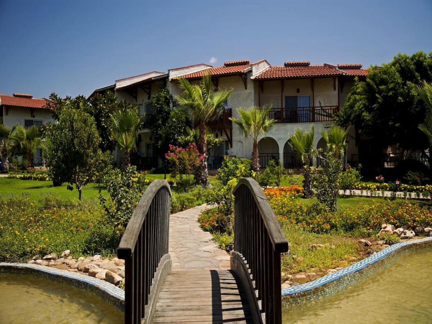 Papillon-Belvil-General-view-19