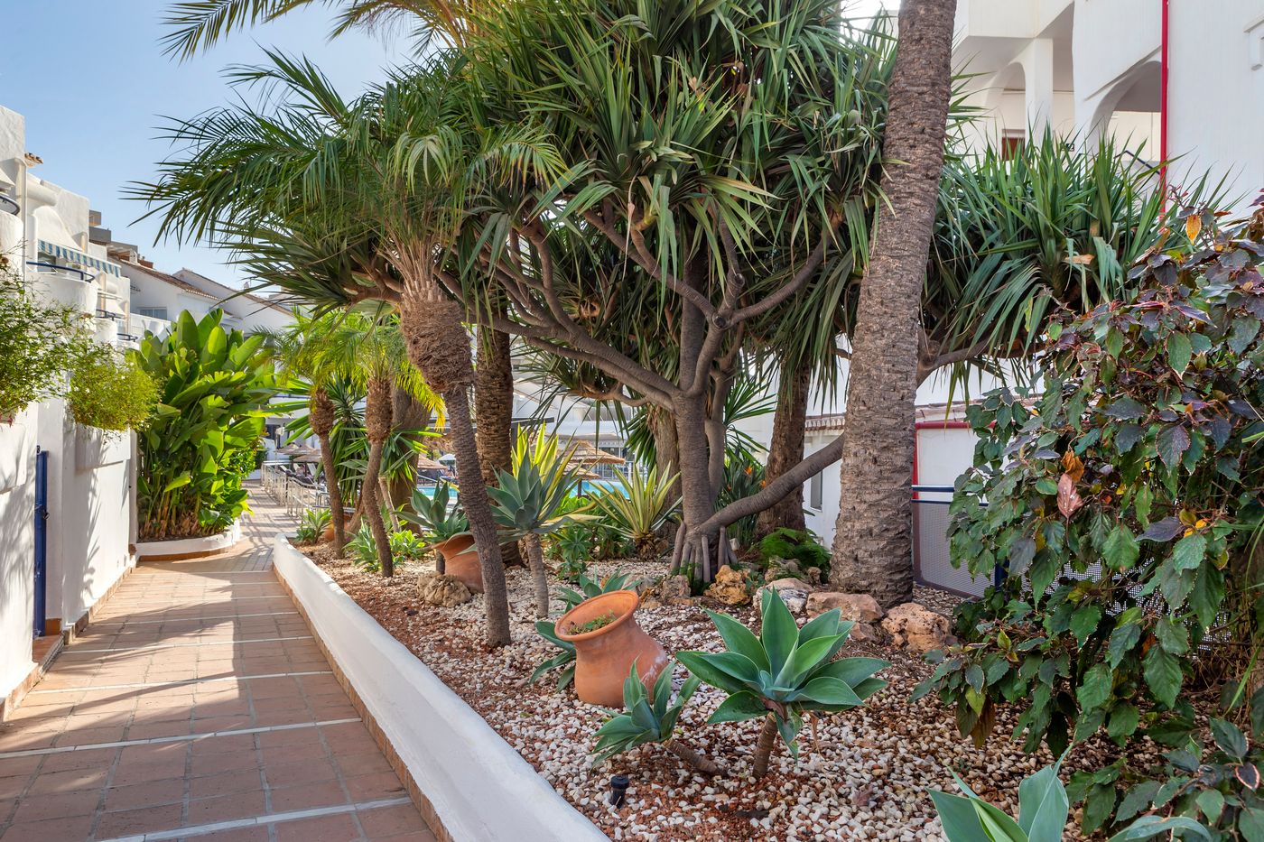 Sahara-Sunset-General-view-10