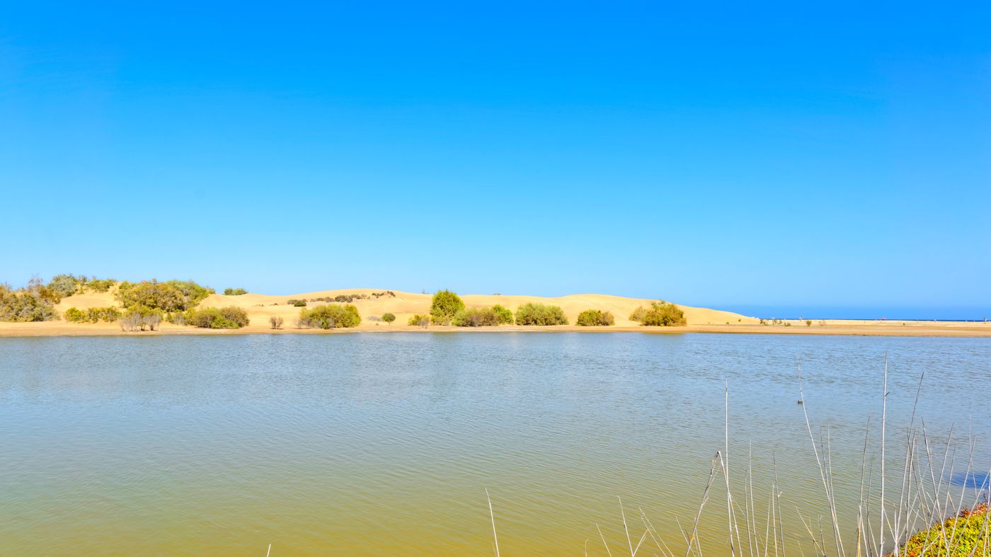 Apartamentos-Cocoteros-Beach-57