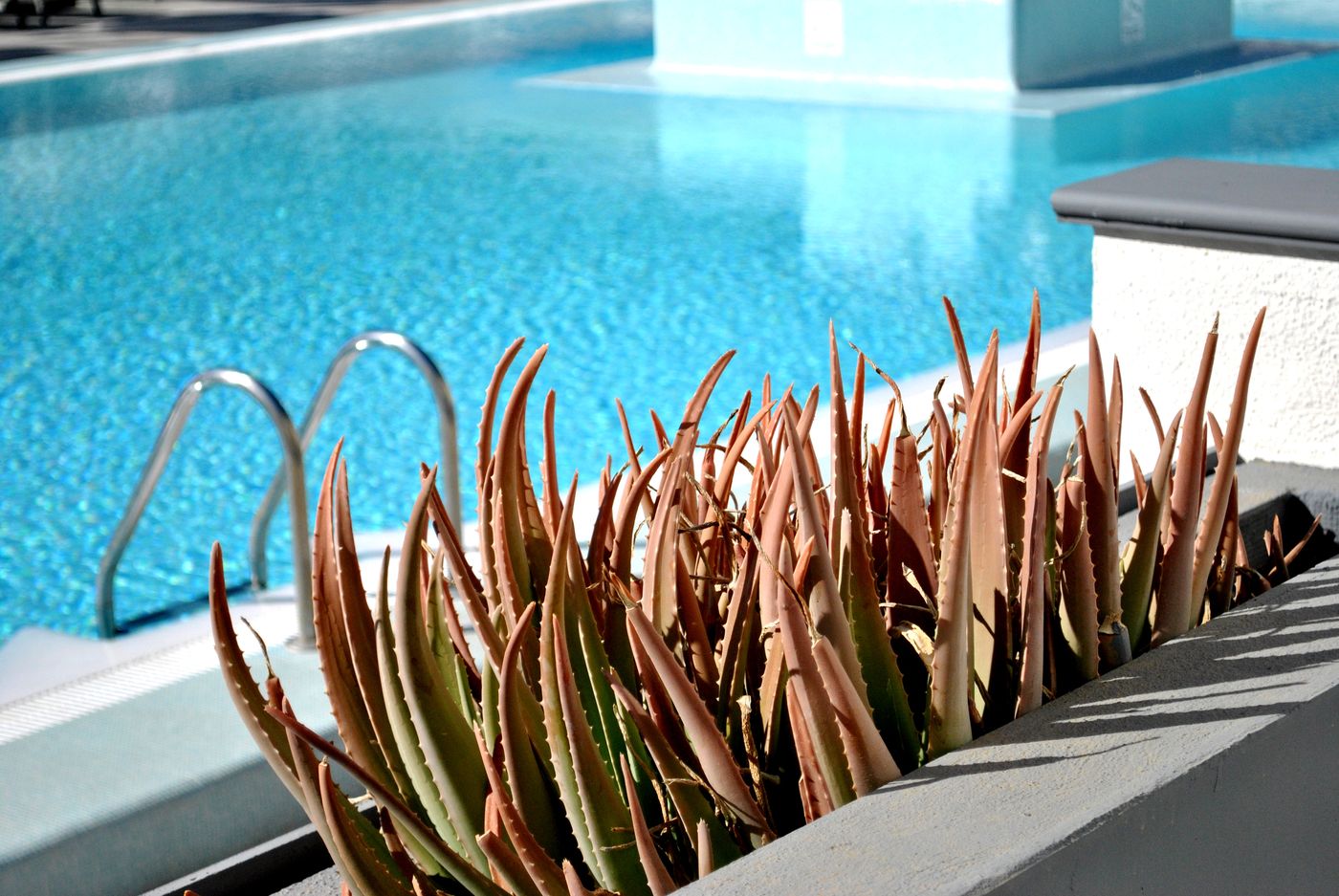 Mariposa-del-Sol-Pool-10