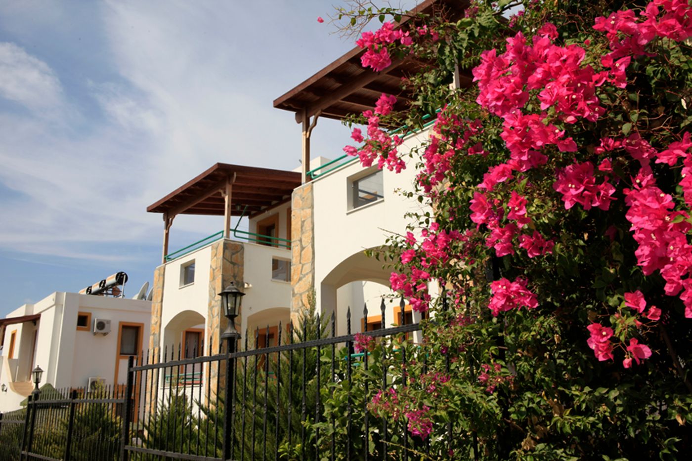 Lemon-Tree-General-view-9