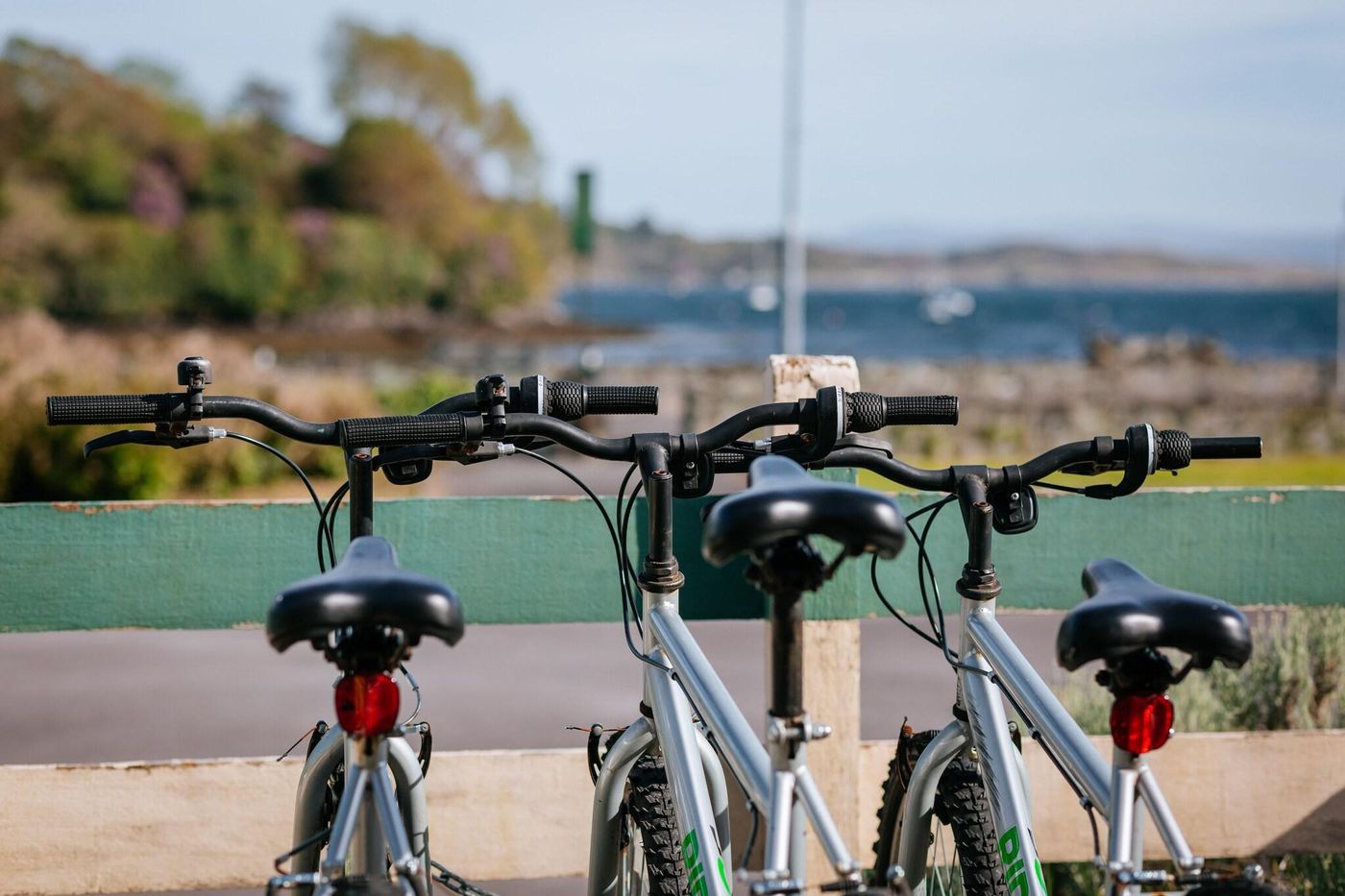 Glengarriff Eccles - Ireland - Glengarriff Co. Cork, P75 A072 - General view - 3