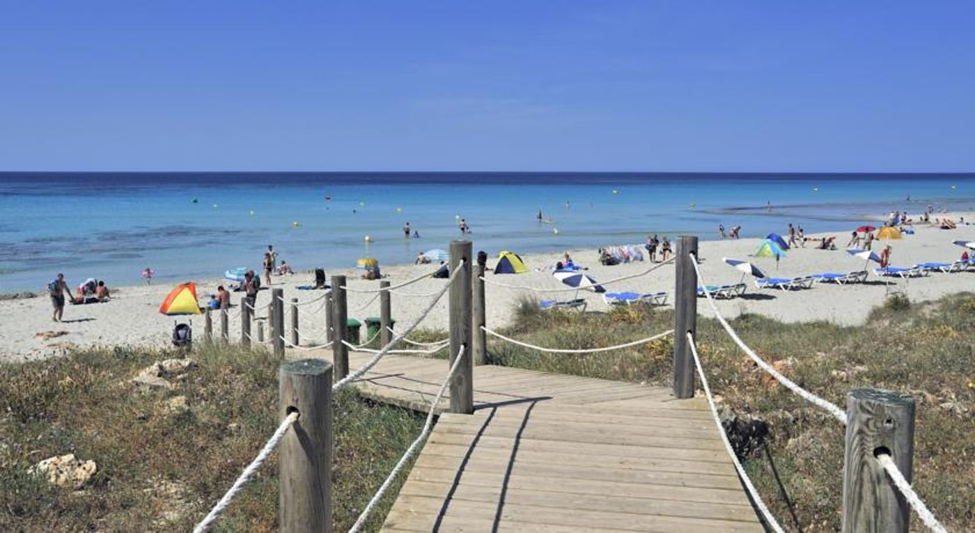 Sol Milanos-Pinguinos