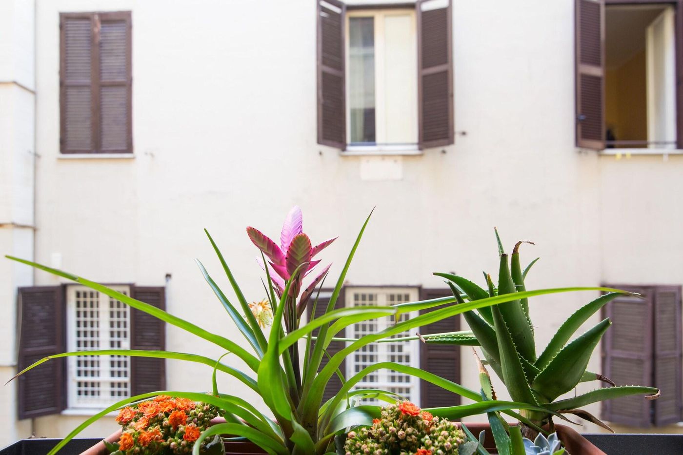 Domenichino-Luxury-Home-Room-6