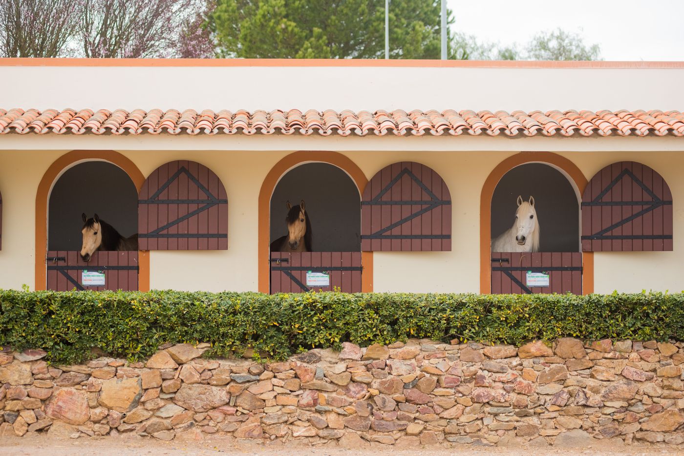 Vila-Gale-Alentejo-Vineyards--Clube-de-Campo--Sports-and-Entertainment-9