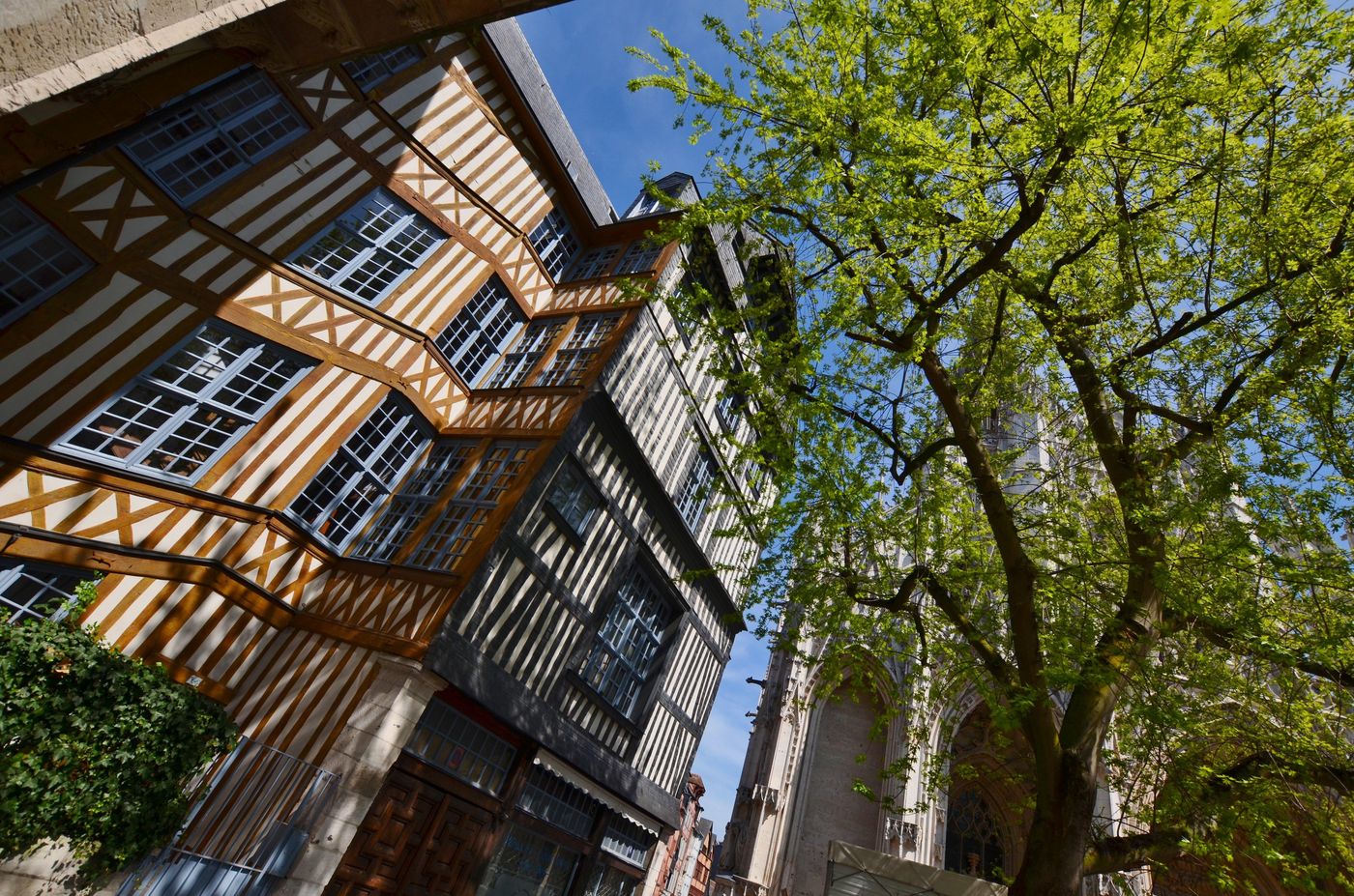 Holiday Inn Express Rouen Centre - Rive Gauche-France-Rouen-General view-5