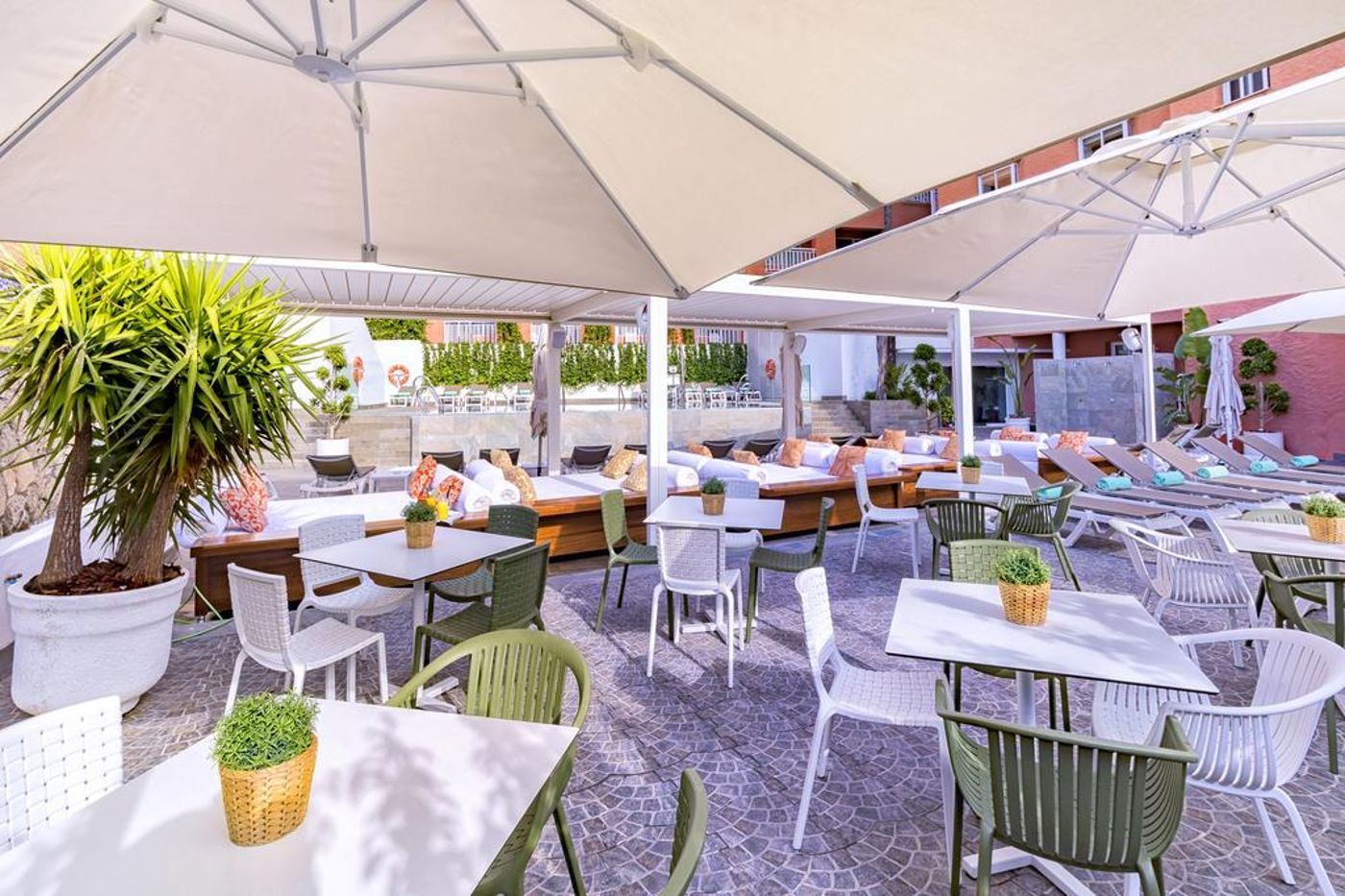 Hotel-Fenix-Torremolinos---Adults-Only-Recommended-Terrace-14