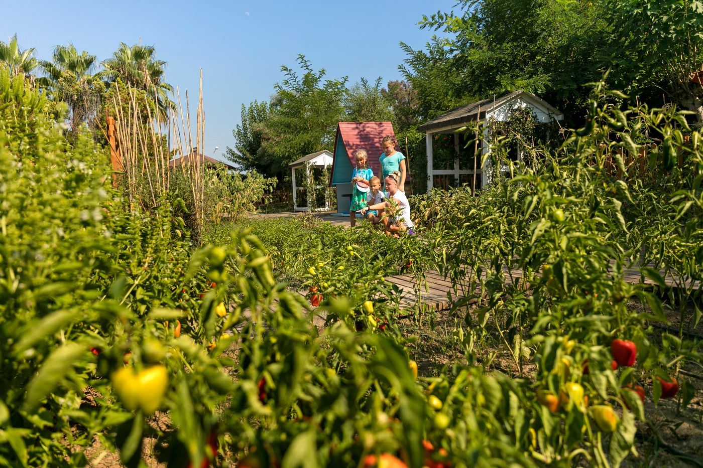 Marvida-Family-Eco-ex-Otium-Family-Eco-Club-General-view-66