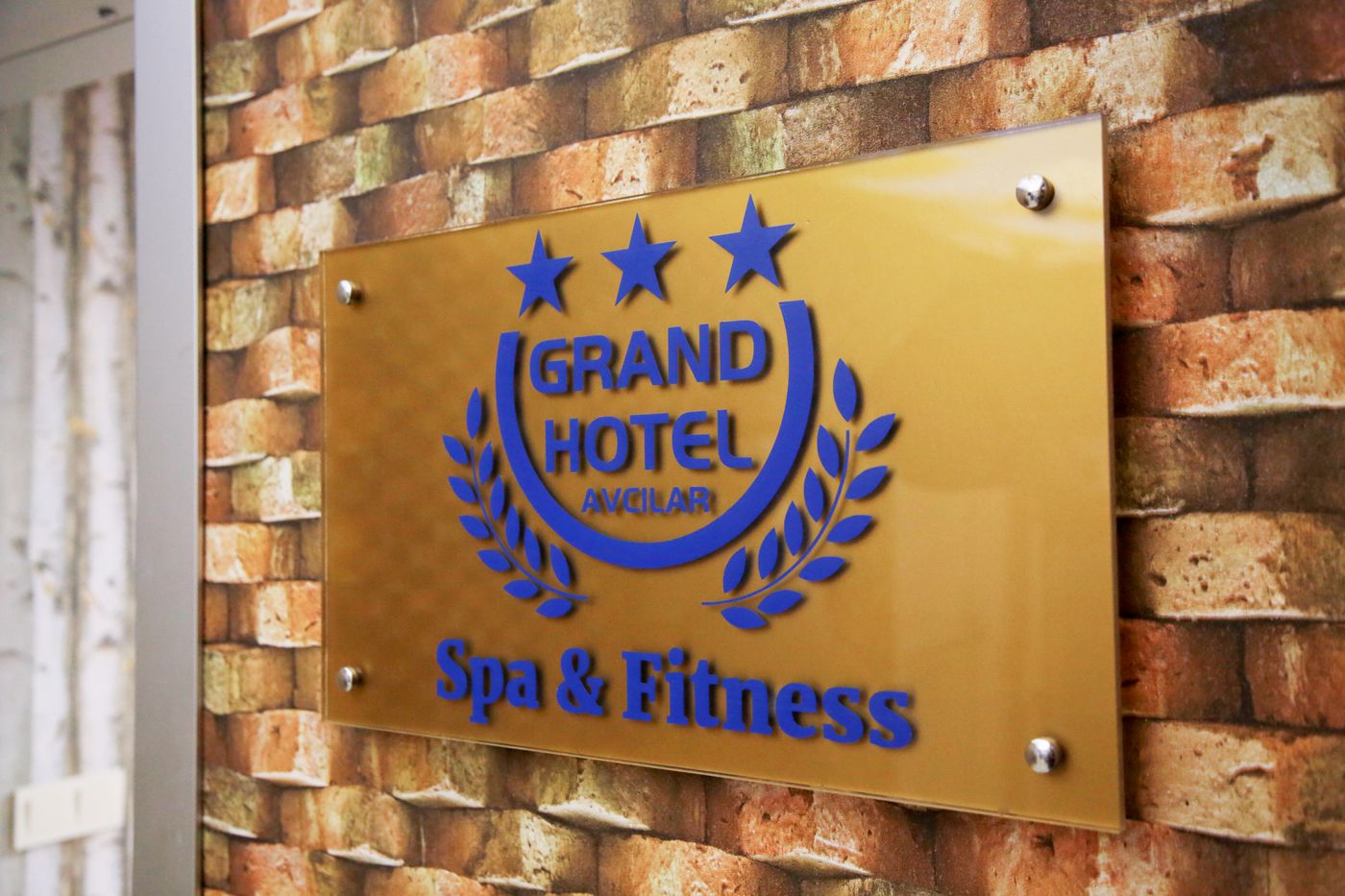 Grand Hotel Avcilar-Turkey-AVCILAR - ISTANBUL-Sports and Entertainment-2