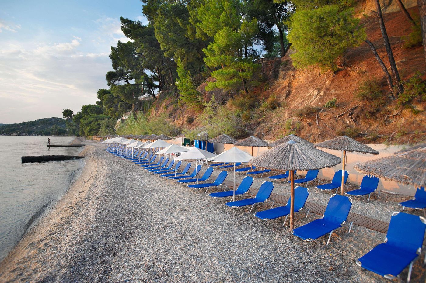 Athena-Pallas--Beach-94