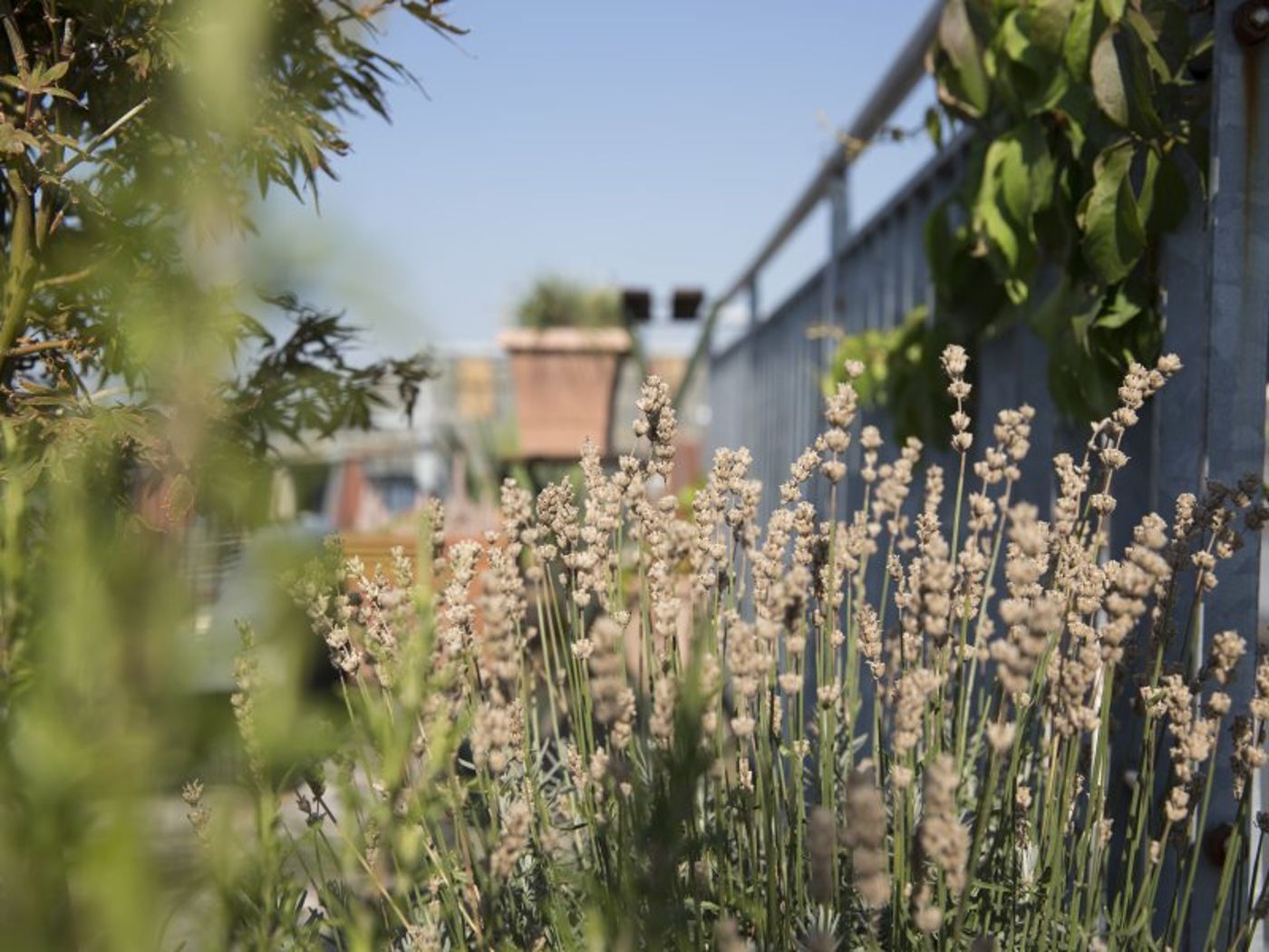 Hotel Art Nouveau-Germany-BERLIN-Terrace-3