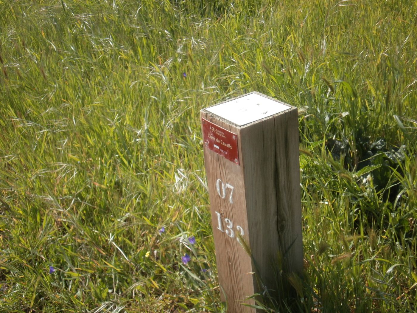 Las-Brisas-I---II-Beach-35