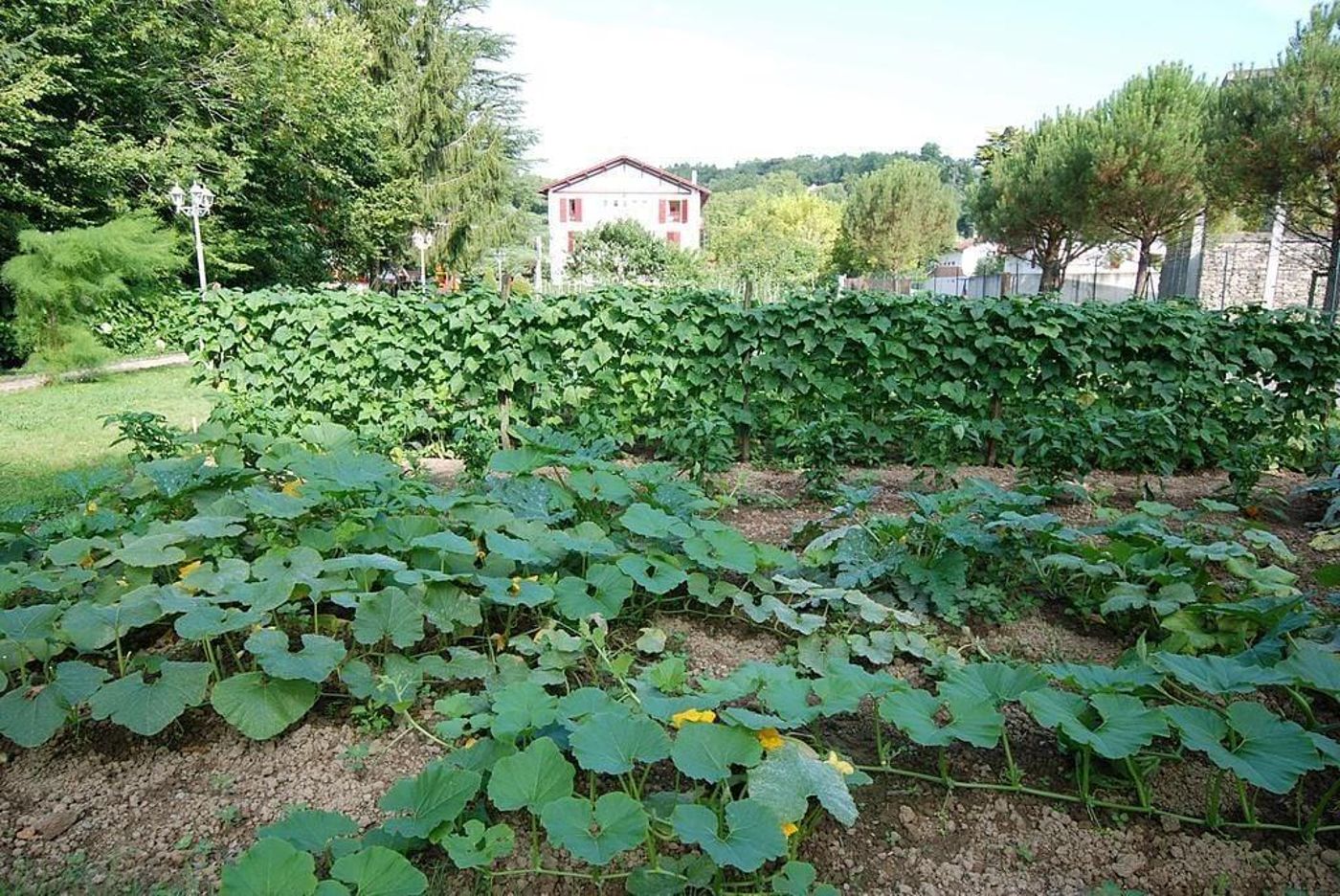 Hotel Pyrénées Atlantique-France-SAINT-PEE-SUR-NIVELLE-General view-2