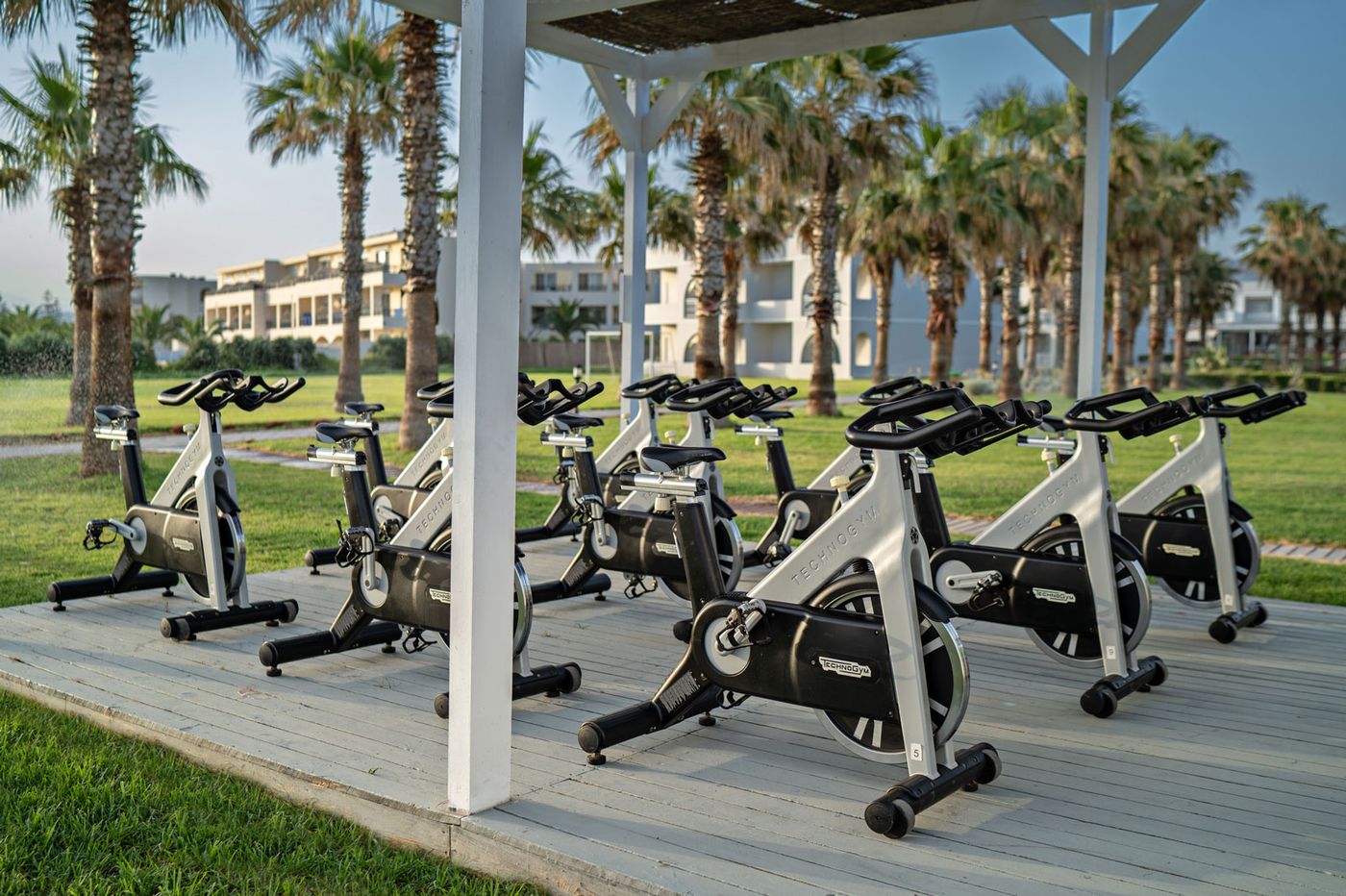 Delfina-beach-Sports-and-Entertainment-20