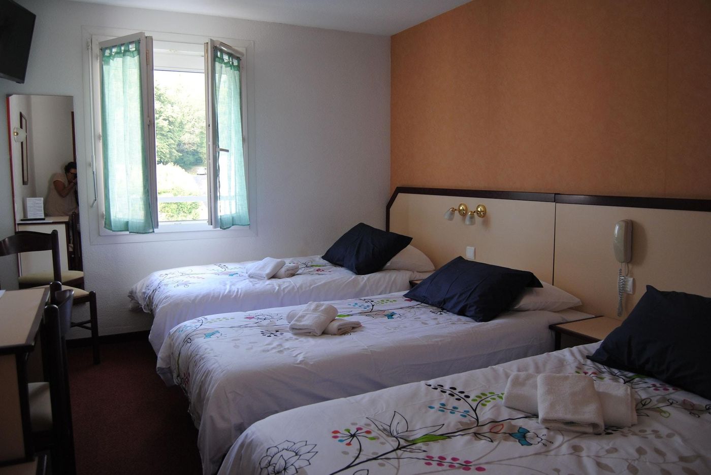Myosotis-France-LOURDES -Room-6