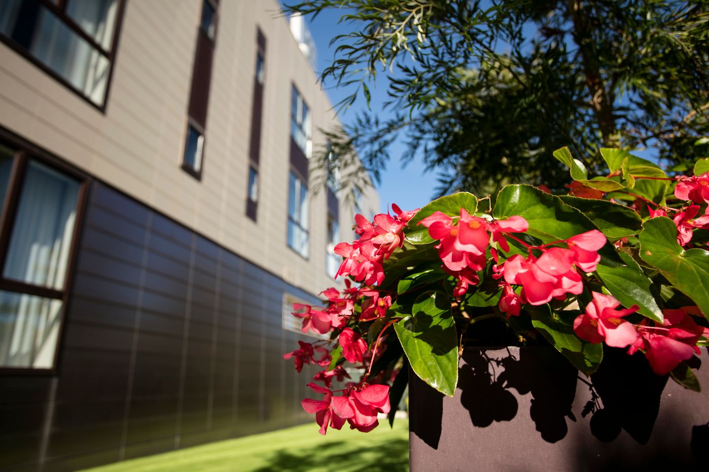 Desitges-General-view-5