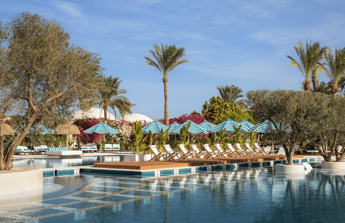 Desert Rose Hurghada 