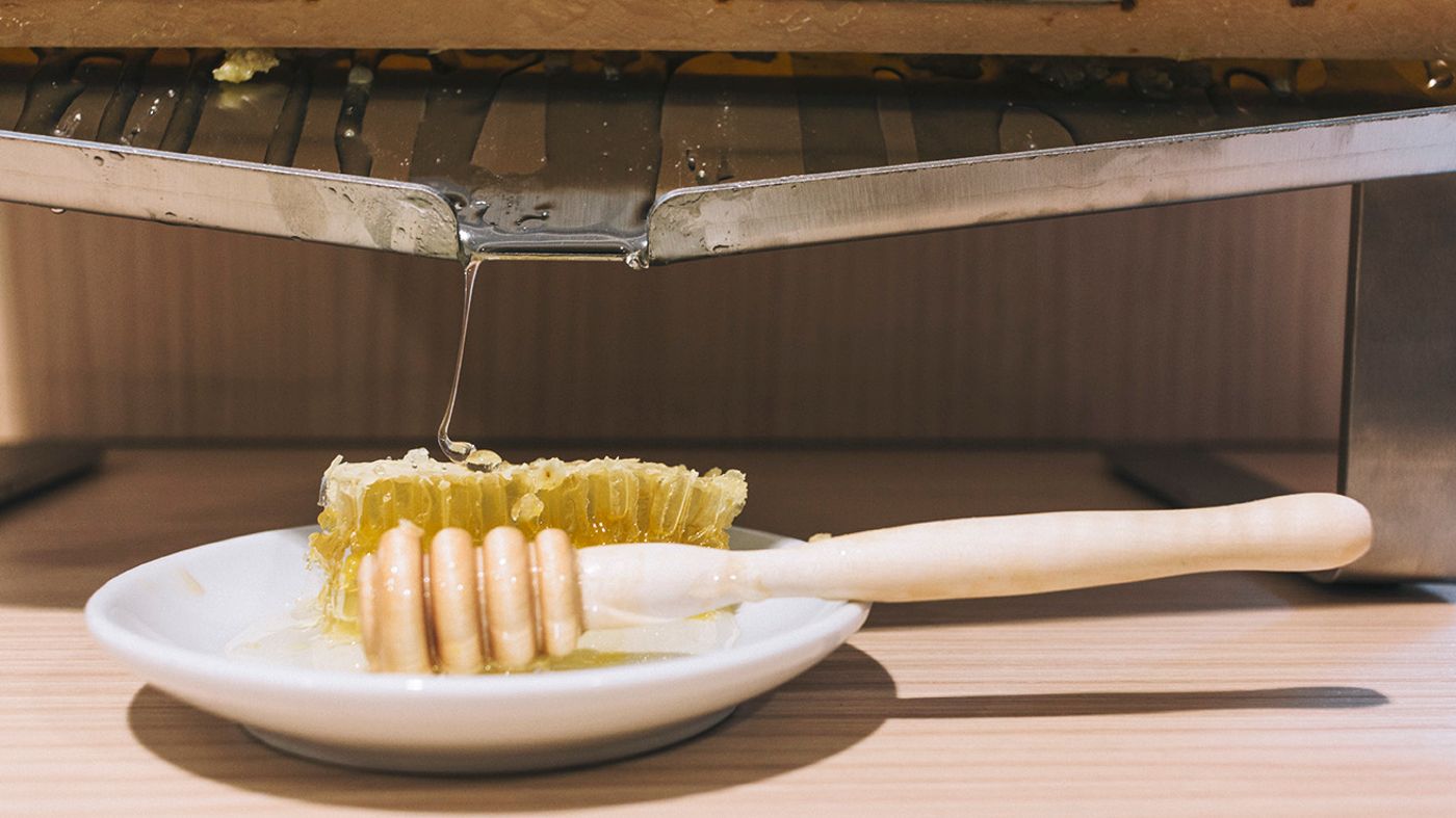 Hotel-Domus-Helena-Restaurant-25