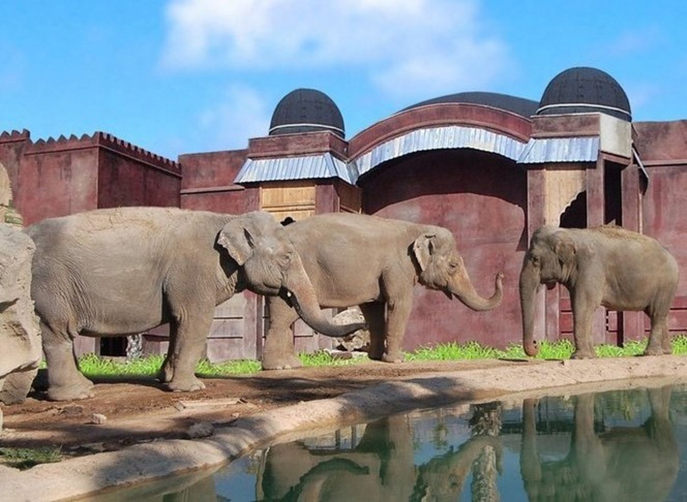 Magic Natura Animal Waterpark and Polynesian Lodge Resort