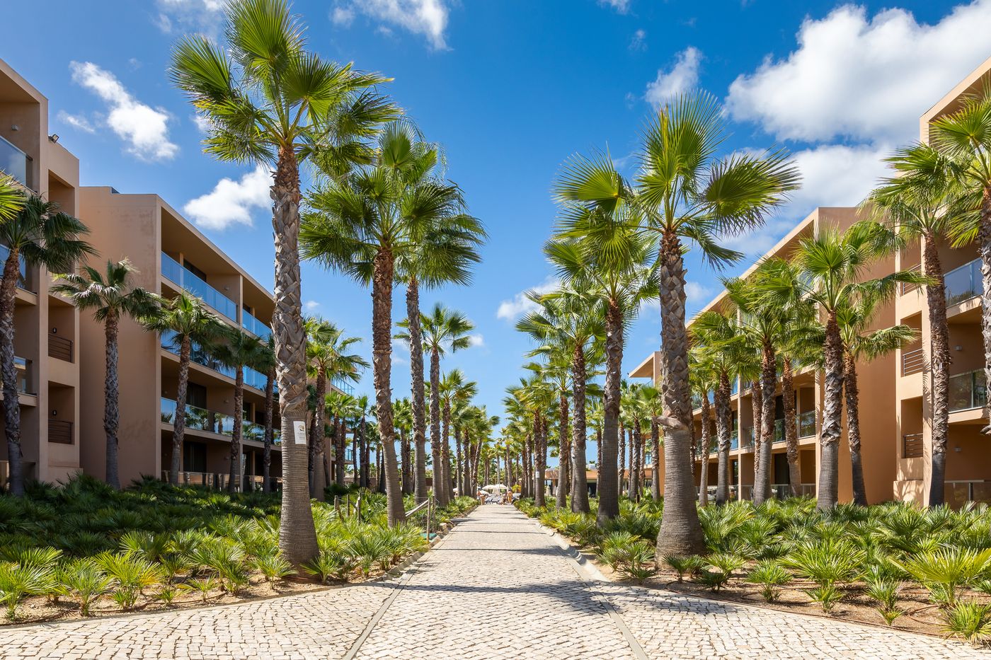 Salgados Palm Village
