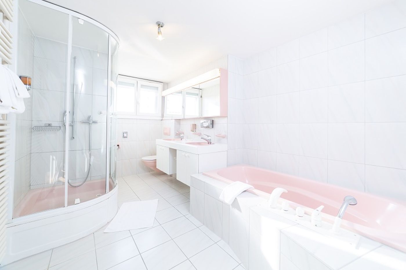 Alfa-Switzerland-BIRSFELDEN-Room-10