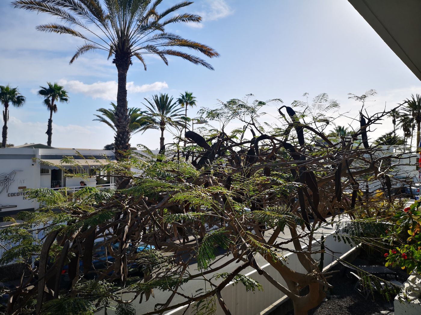 Apartamentos-Cocoteros-Room-9