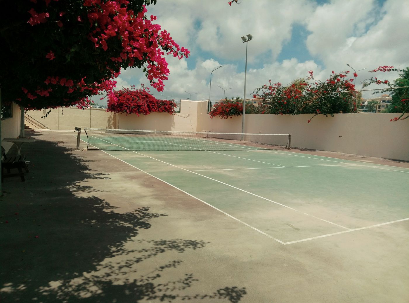 Venus-Beach-Sports-and-Entertainment-43