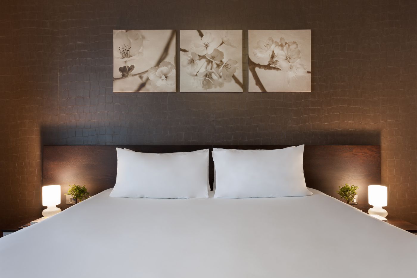 Hotel-Argento-Room-21