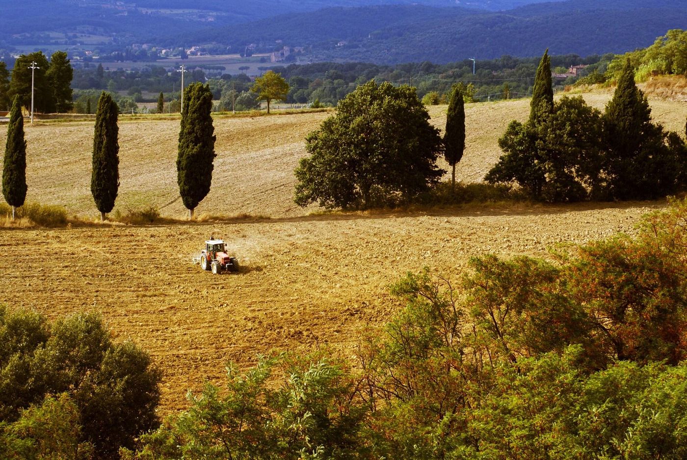 Castello-General-view-63
