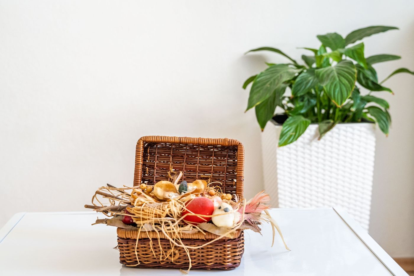 Vulicevic-Apartmani-Room-31