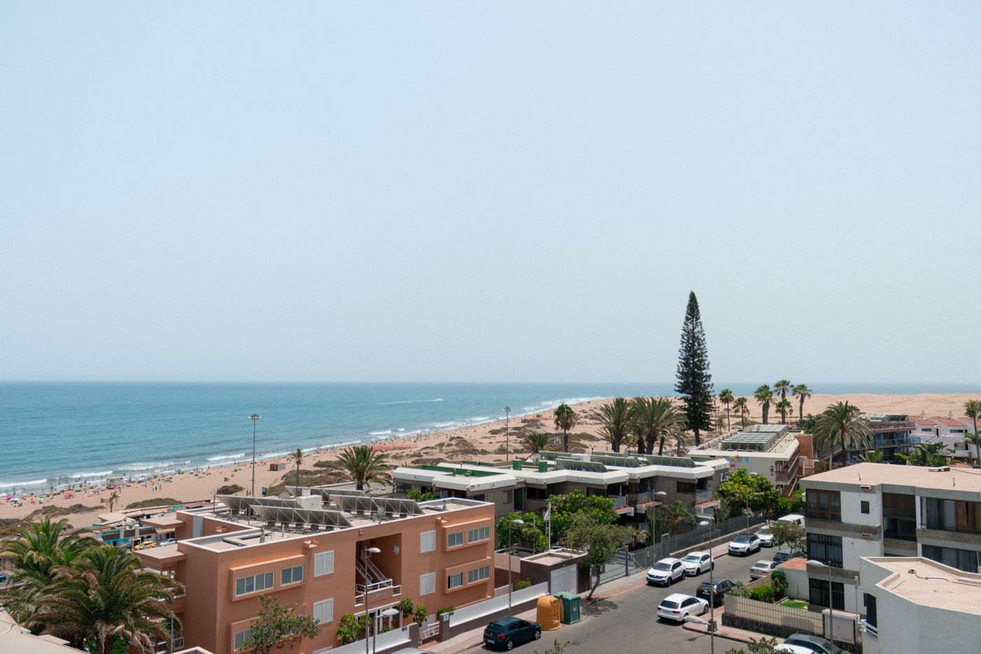 El Palmar