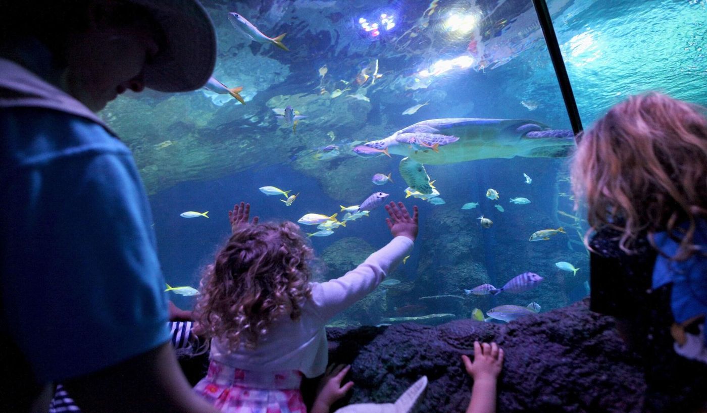 Holiday Inn Express Manchester - Salford Quays-United Kingdom-Manchester-General view-9