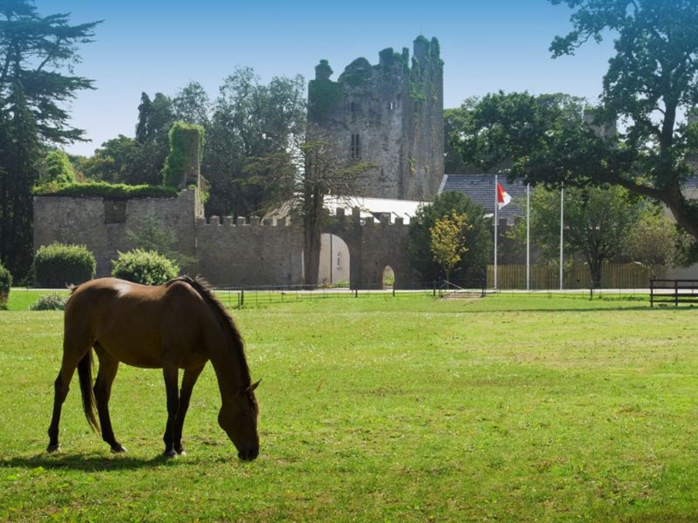 Castlemartyr Resort - Ireland - Cork - General view - 9