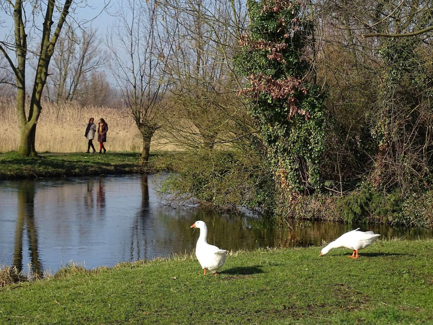 Amrath Airport Hotel Rotterdam, BW Signature Colle-Netherlands-Rotterdam-General view-10