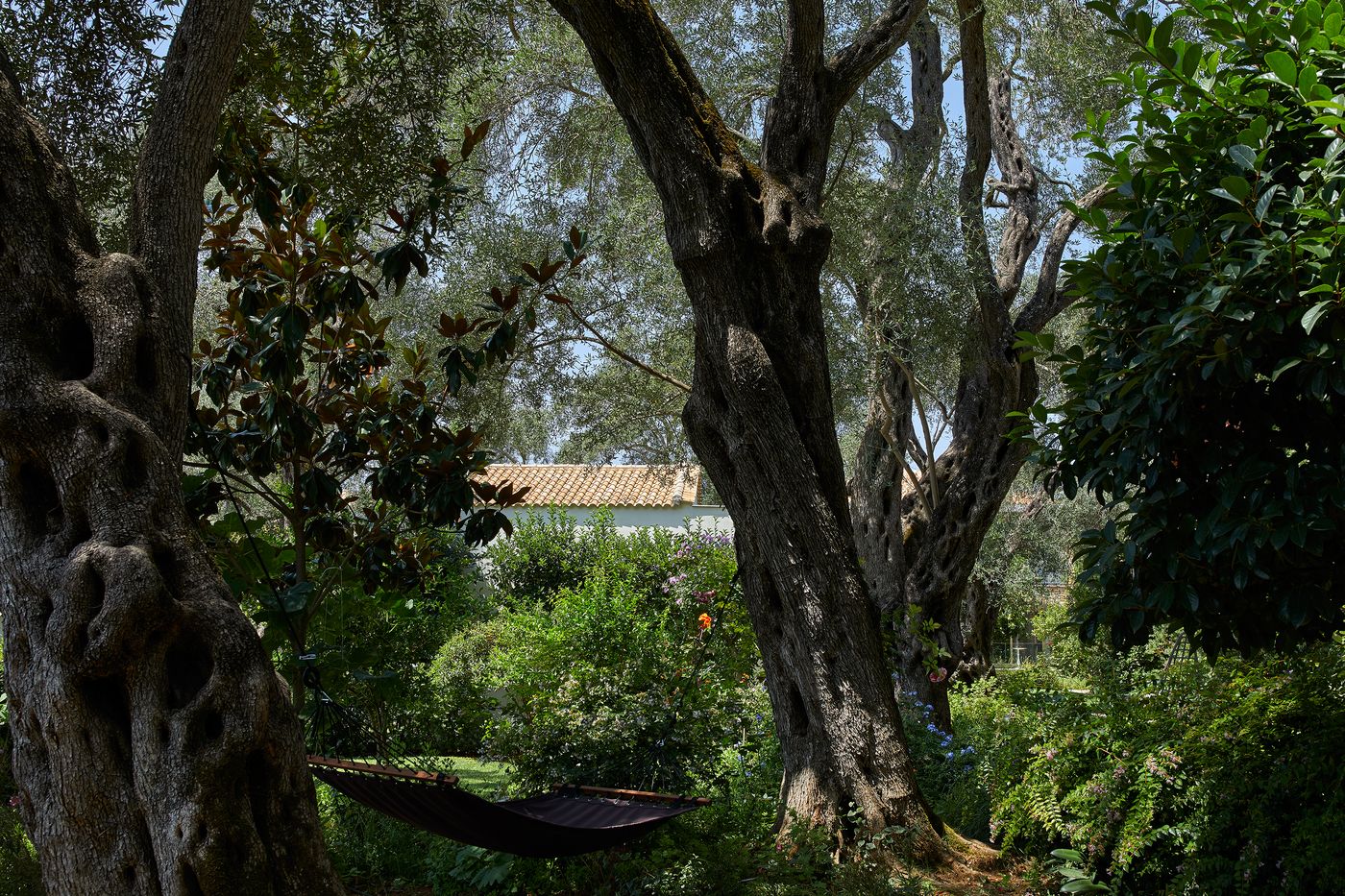 Parga-Beach-Terrace-23