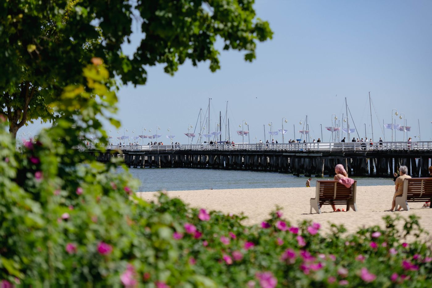 Villa Sedan - Destigo Hotels - Poland - SOPOT - Beach - 2