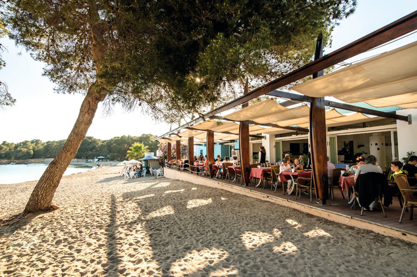 Magic Life Cala Pada