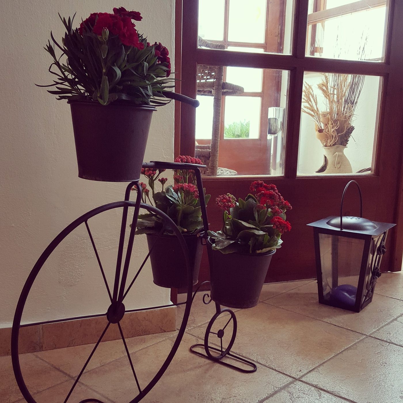 Amazones-Village-Suites-Lobby-25