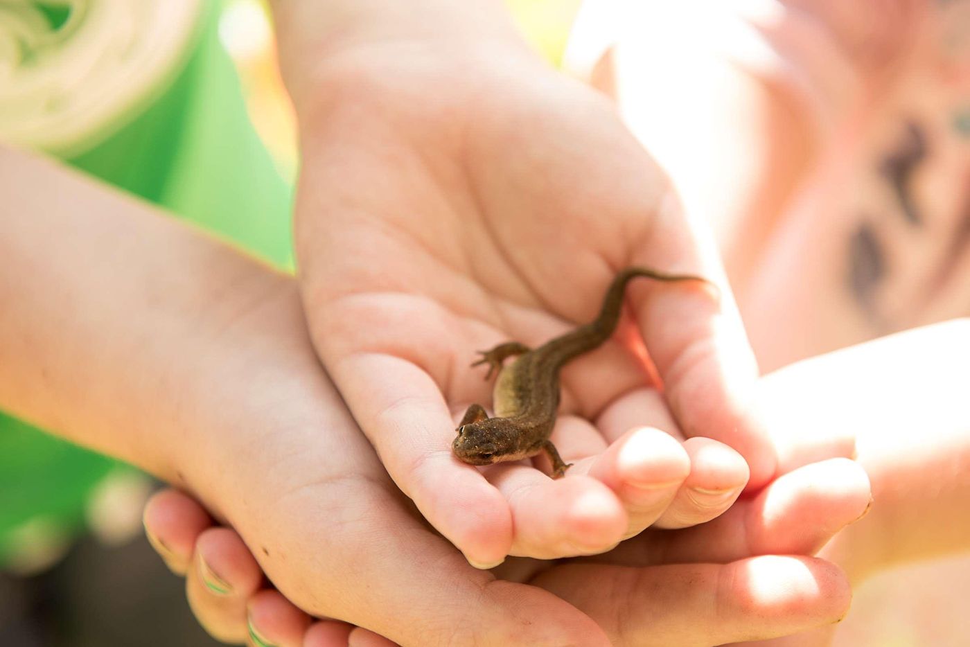 Radisson Blu Hotel & Spa, Limerick-Ireland-LIMERICK-General view-7